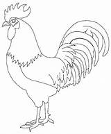 Rooster Coloring Pages Adults Printable Color Getcolorings Print Year Choose Board sketch template