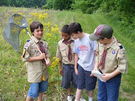 groups scouts dawes arboretum