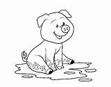 Mud Pig Coloring Clipart Pages Pigs Template Coloringcrew Splash Clipground sketch template