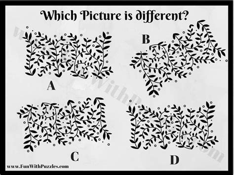 Fun Picture Brain Teasers For Adults With Answers Fun