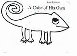 Chameleon Coloring Lionni Preschoolers sketch template