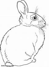 Coloring Pages Winter Rabbit Kids Printable sketch template