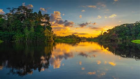 sunset   amazon river rainforest basin yasuni national park