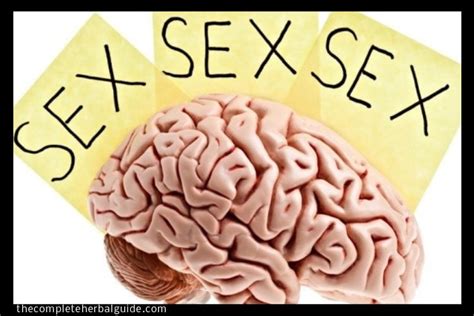 Hypersexuality Sex Addiction Signs Symptoms Causes And Treatment