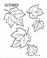 Coloring Leaf Pages Kids Printable sketch template
