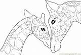 Giraffe Coloring Pages Baby Printable Mother Head Drawing Cute Funny Elephant Kids Outline Color Animal Microscope Light Compound Getdrawings Dragon sketch template