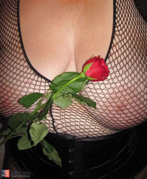 My Crimson Rose Day Zb Porn