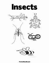 Printable Insect Coloring Pages Insects Colouring Parts Body Print Kids Printablee Sheets Worksheet Label Via Legs Worksheets Choose Board sketch template