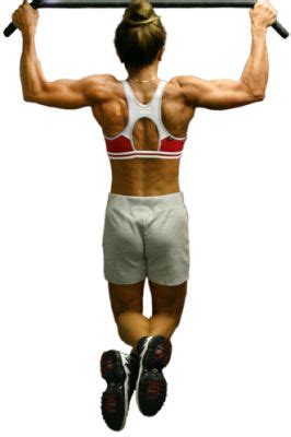 speed   metabolism  pull ups fit tip daily