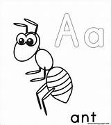 Ant Coloring Pages Printable Alphabet Kids Ants Children Color Template Drawing Print Collection Grasshopper Book Cartoon Apple Queen Sheets Preschool sketch template