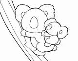Koala Mother Coloring Coloringcrew sketch template