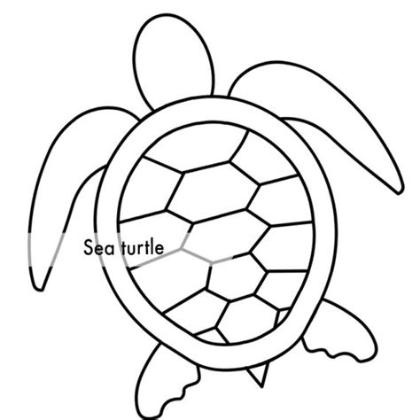 sea turtle outline coloring page