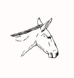 mule head vector images