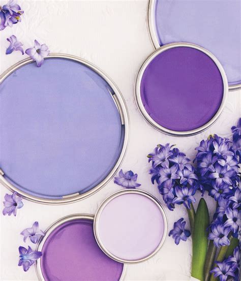 hyacinth purple paint color schemes paint color palettes grey paint