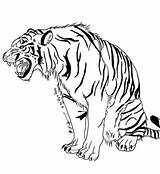 Tigre Tygrys Snarling Rugiendo Tijger Tigri Roaring Bengala Kleurplaat Tigres Kolorowanka Kleurplaten Supercoloring Colorier Tijgers Printen sketch template