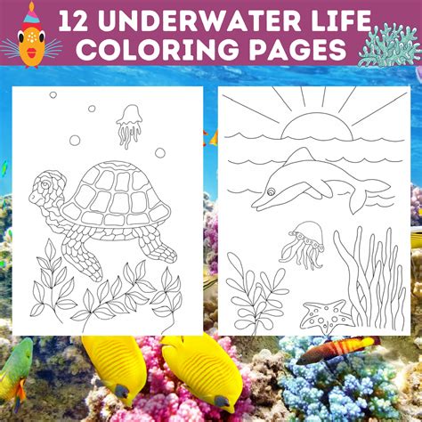 beautiful underwater sea coloring pages marine life etsy