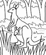 Kangaroo Coloring Pages Baby Cute Printable Kids Color Print Sheets Joey Animal Cool2bkids Animals Face Getcolorings Books Coloringbay Template Choose sketch template