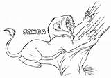 Lion King Simba Coloring Pages Drawing Grown Printable Adult Zira Book Tree Scratching Young Disney Getdrawings Print Kids sketch template