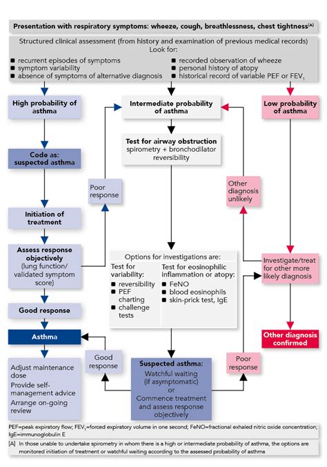 Sign And Bts Management Of Asthma In Adults Guideline