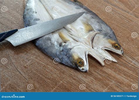 fresh fish cut  wooden background stock photo image