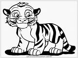 Mewarnai Harimau Binatang Kekinian Mewarnaigambar Sumber sketch template