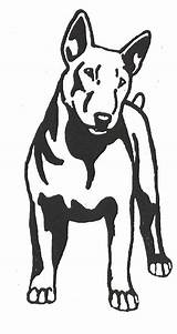 Terrier Bull Drawing Stencil English Dog Coloring Dogstampsplus Silhouette Drawings Outline Animal Pitbull Patterns Bullterrier Svg Bully American Stencils Retriever sketch template