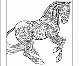 Hard Getcolorings Horses Zentangle Difficult Inhabit sketch template