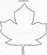 Leaf Template Maple Outline Drawing Leaves Large Coloring Writing Line Templates Easy Oak Getdrawings Printable Fall Cliparts Clipart Autumn Canadian sketch template