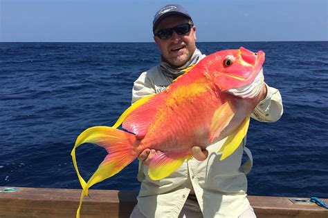 safely handle  release deep sea fish expert tips backcast