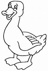 Duck Coloring Pages Drawing Printable Animals sketch template