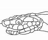 Coloring Kids Copperhead Snake sketch template