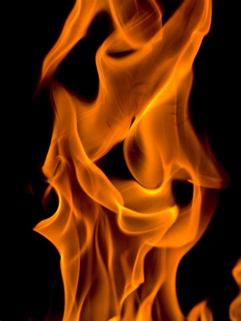 images glowing flower smoke orange flame fire glow colorful yellow heat energy