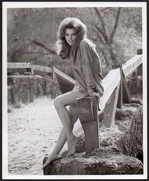 Tina Louise Sexy Leggy Actress Vintage Orig Photo Cheesecake Pinup Ebay