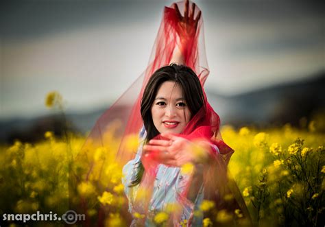 Wallpaper Sunlight Model Flowers Red Asian Field Yellow Sad