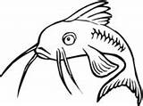 Catfish Coloring Clipart Drawings Cartoon Pages Drawing Super Clip Printable Cliparts Fish Gif Clipartbest sketch template