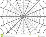 Web Spider Coloring Pages Spiders Printable Print Getcolorings Background Stock sketch template