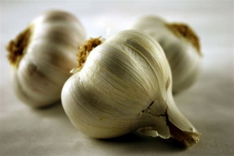 nourished heart raw garlic