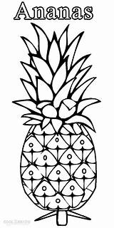 Pineapple Ananas Pineapples Malvorlagen Cool2bkids Fruits Piña Perfumes Popular sketch template