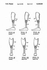 Patents Prosthetic Alignment Drawing sketch template