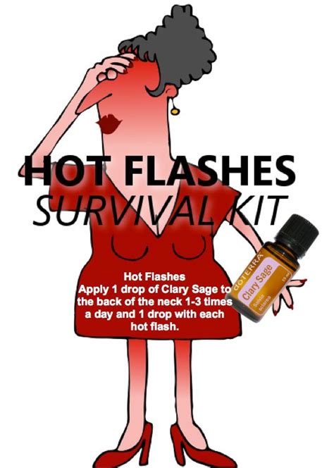 Best 25 Hot Flashes Humor Ideas On Pinterest When Does