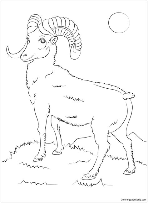 mountain bighorn sheep coloring page  printable coloring pages