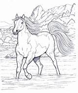Animali Cavalli Cavallo Disegnidacolorareperadulti Benissimo Ruvida Ottenere Ballerine Coloringpagesforadult sketch template