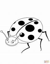 Ladybug Coloring Cartoon Drawing Pages Drawings sketch template