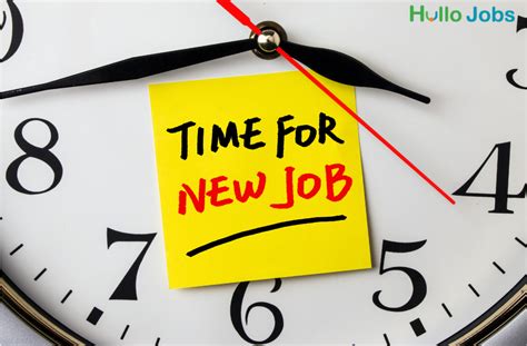 job search count  hullo jobs catchfree