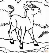 Esel Colorir Desenhos Sagoma Ritagliare Pecora Asinello Donkeys Ausmalbild Jumento Idees Ausmalbilder Donkey Supercoloring Niedlicher Silhuetas Ausdrucken sketch template