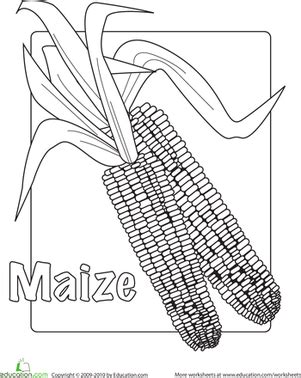 maize worksheet educationcom thanksgiving worksheets coloring