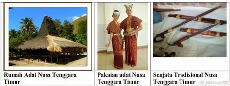 nama suku tarian lagu daerah senjata rumah pakaian adat indonesia freewaremini
