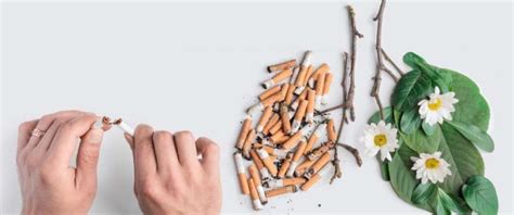 clean  lungs  quitting smoking health sarthi
