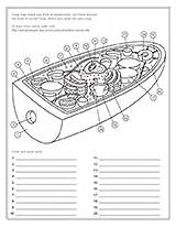 Biologist Askabiologist Asu Answers sketch template