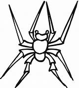 Spider Coloring Pages Widow Printable Wolf Spiders Kids Drawing Bus Designlooter Snakes Plane Try Little Bestcoloringpagesforkids 1191 77kb sketch template